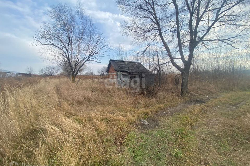 земля р-н Хабаровский с Тополево СНТ Ветерок фото 3