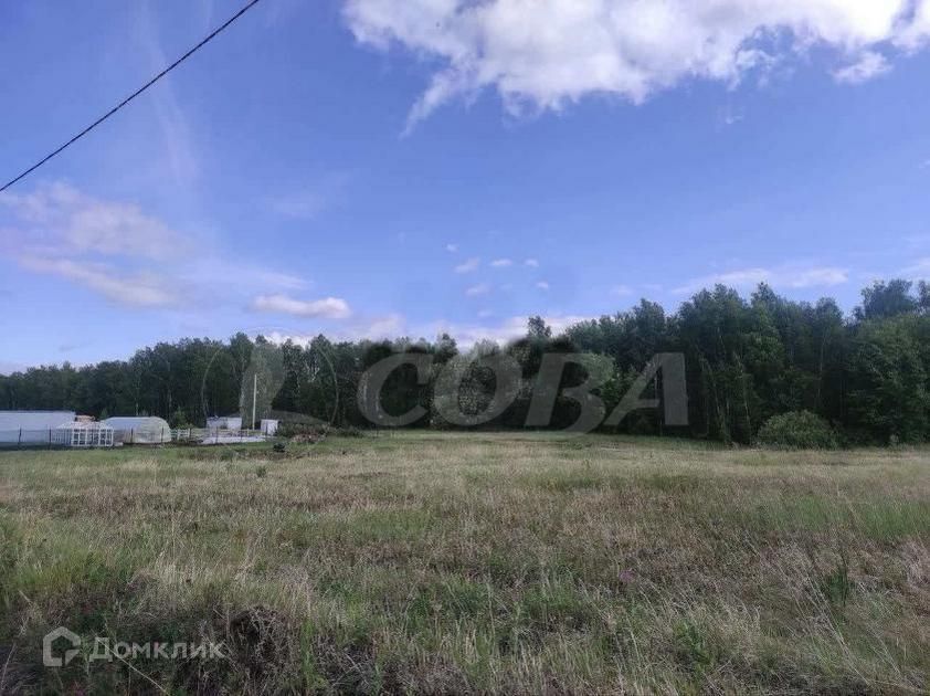 земля г Тюмень снт Плодовое ул Олега Антонова Тюмень городской округ фото 1