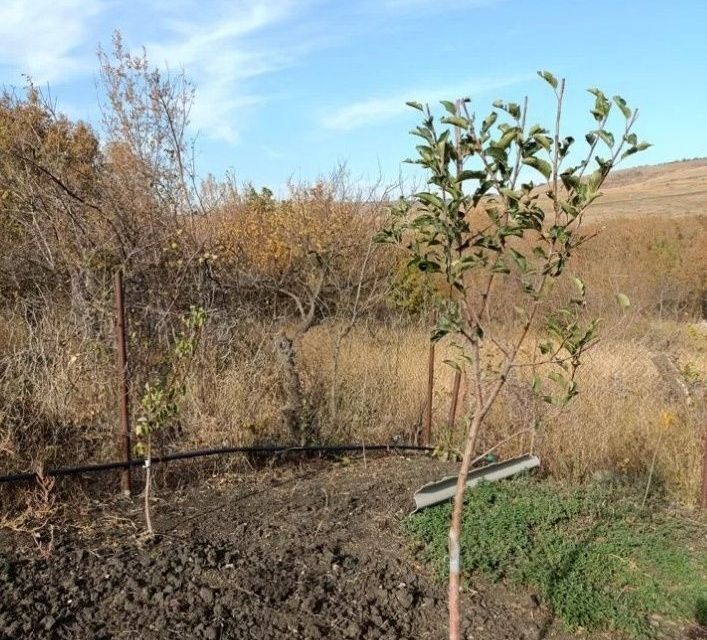 дом Ставрополь городской округ, 22-й фото 10