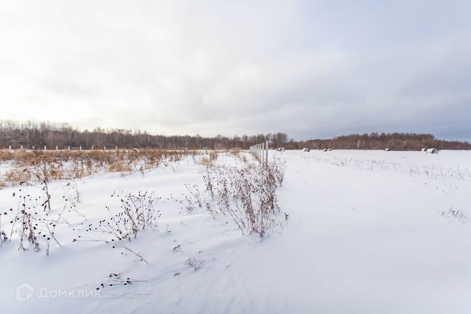 земля р-н Тобольский с Преображенка ул Новая 24 фото 8