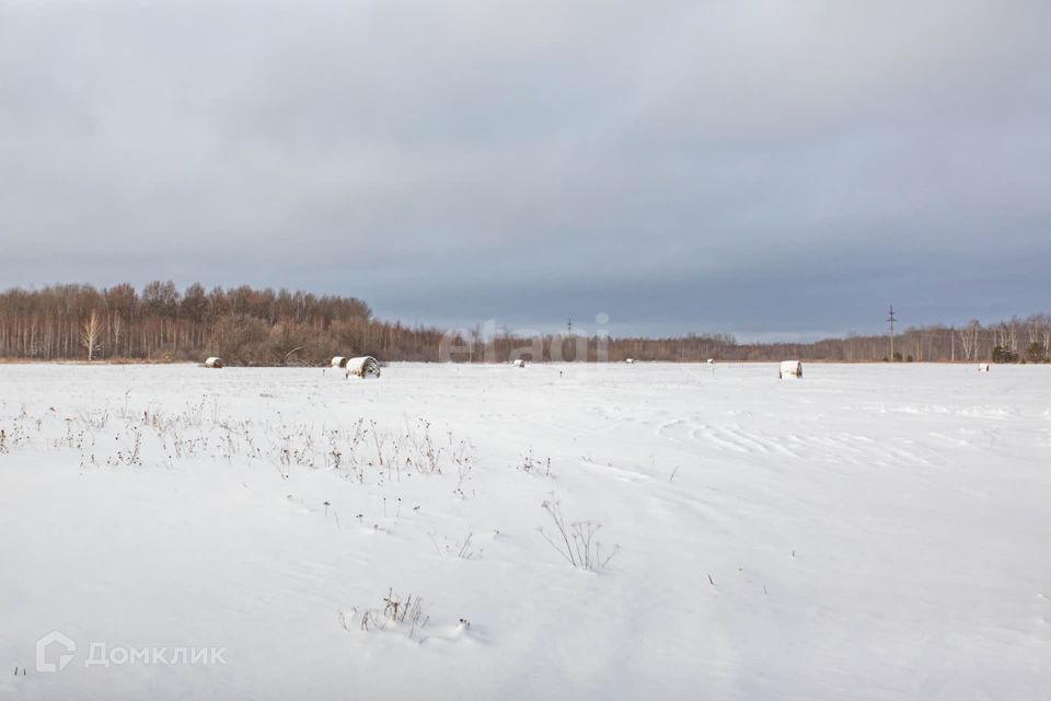 земля р-н Тобольский с Преображенка ул Новая 24 фото 6