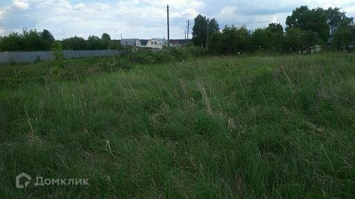 Коломна городской округ, д. Борисово фото