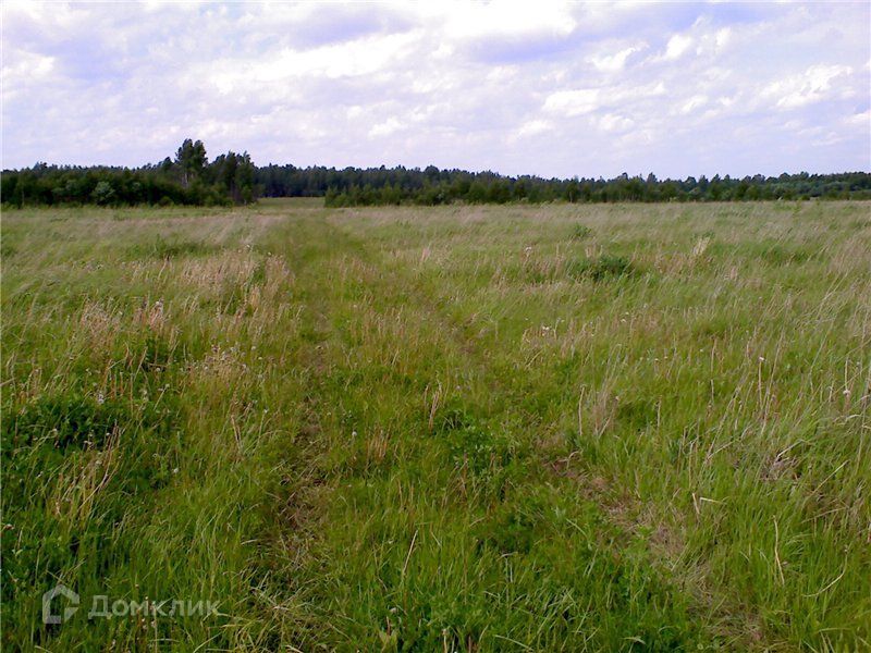 земля городской округ Клин ТСН Раздолье фото 1