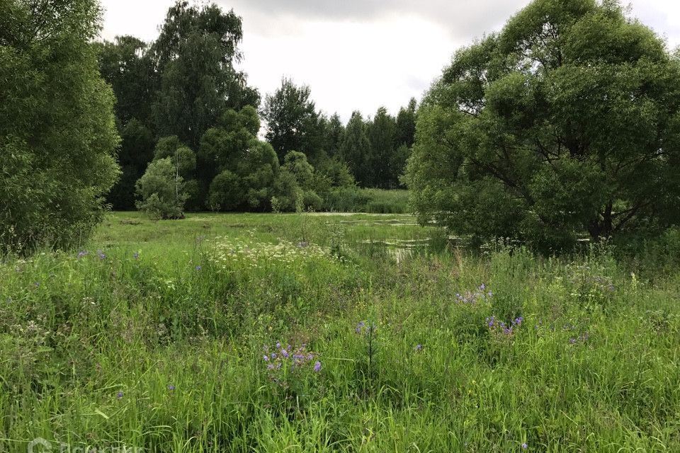 земля городской округ Раменский с Никоновское 39 квартал фото 2