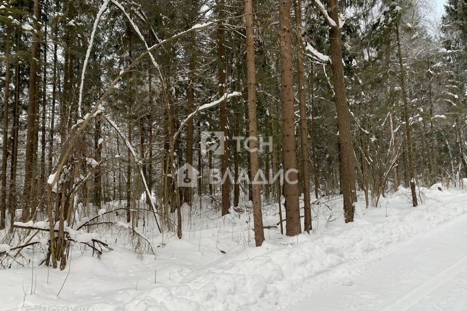 земля городской округ Дмитровский фото 3