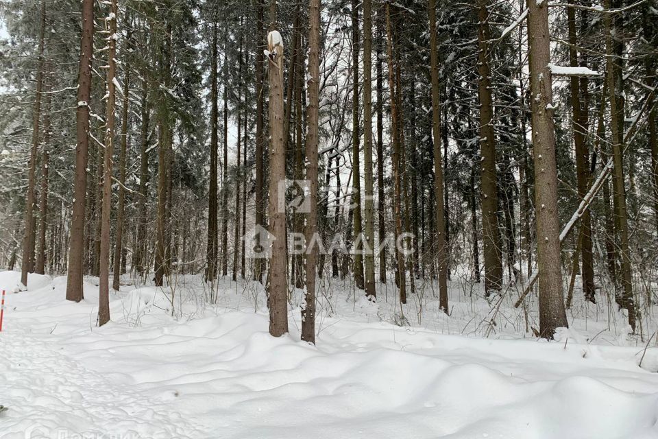 земля городской округ Дмитровский фото 1