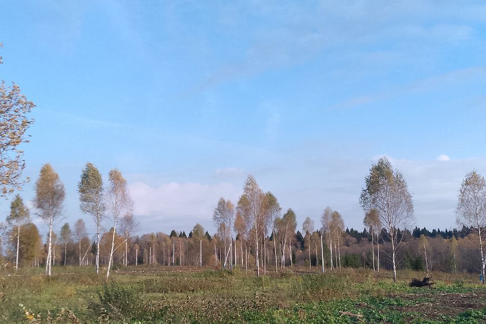 земля городской округ Клин д. Покровка фото 2