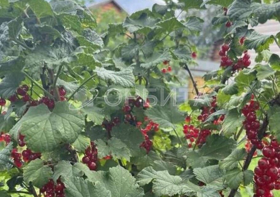 дом г Тюмень снт Хрустальный ул 2-я Тюмень городской округ фото 7