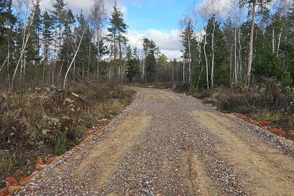 земля городской округ Богородский г Электроугли Восточная деревня фото 3