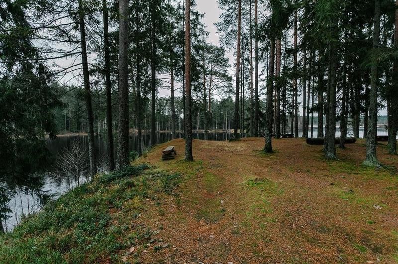 земля р-н Выборгский городской пос. Рощино, Наклонная улица, 37 фото 1