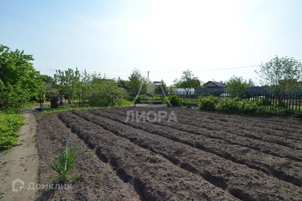 земля городской округ Омск, территория СОСН Путеец-3, СНТ Путеец-3 филиал №2 фото 6