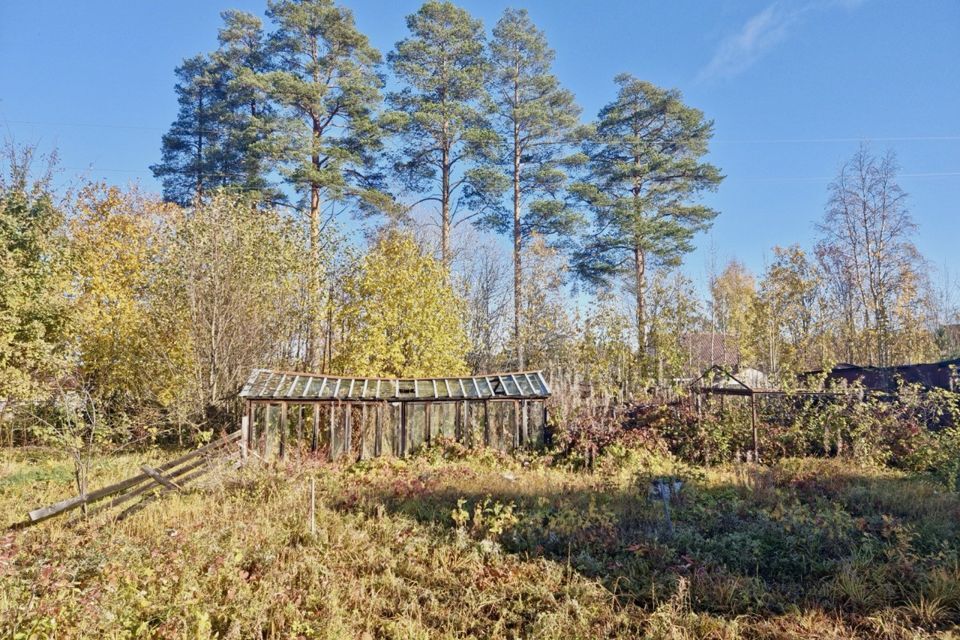 дом р-н Прионежский снт Строитель-2 ул Березовая 92 фото 5