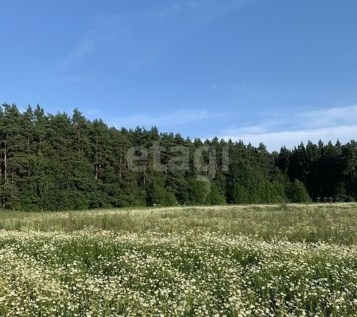 земля городской округ Домодедово Калина, 267 фото 5