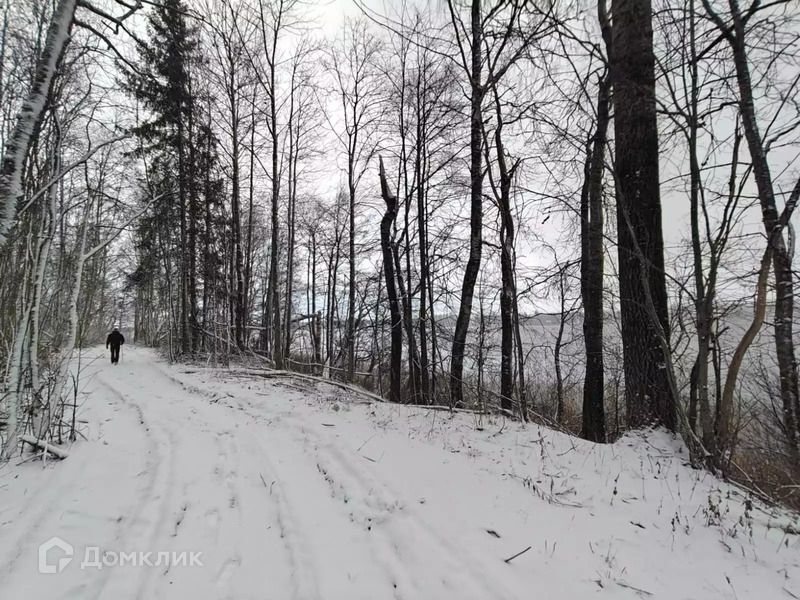 земля р-н Лужский фото 9