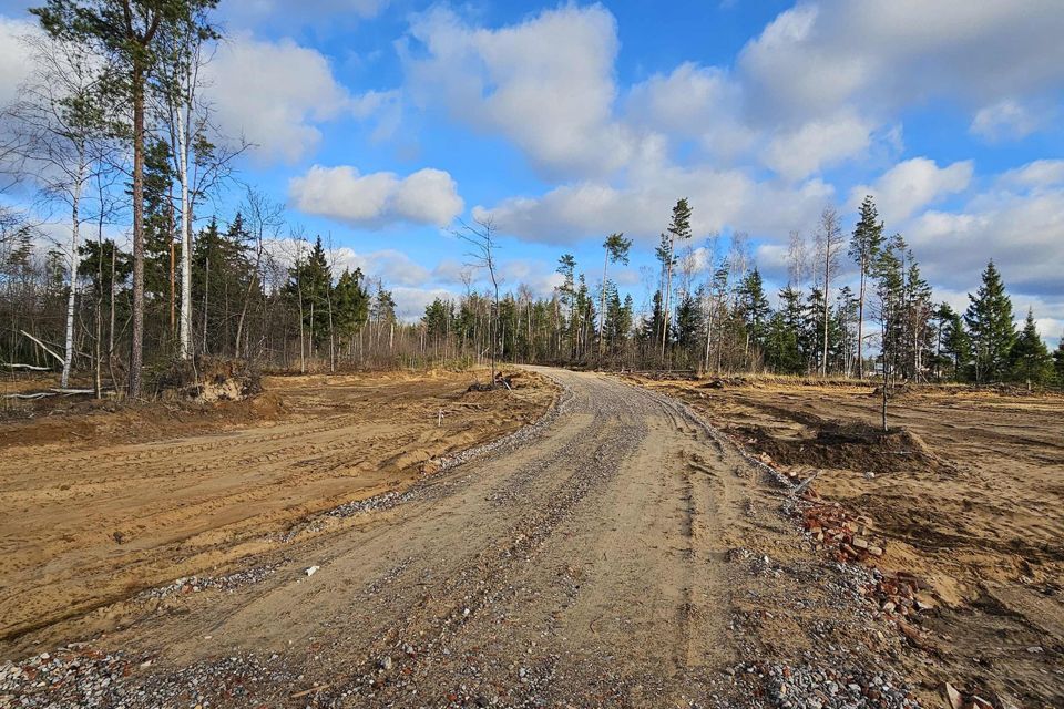 земля городской округ Богородский Восточная деревня, 212 фото 8