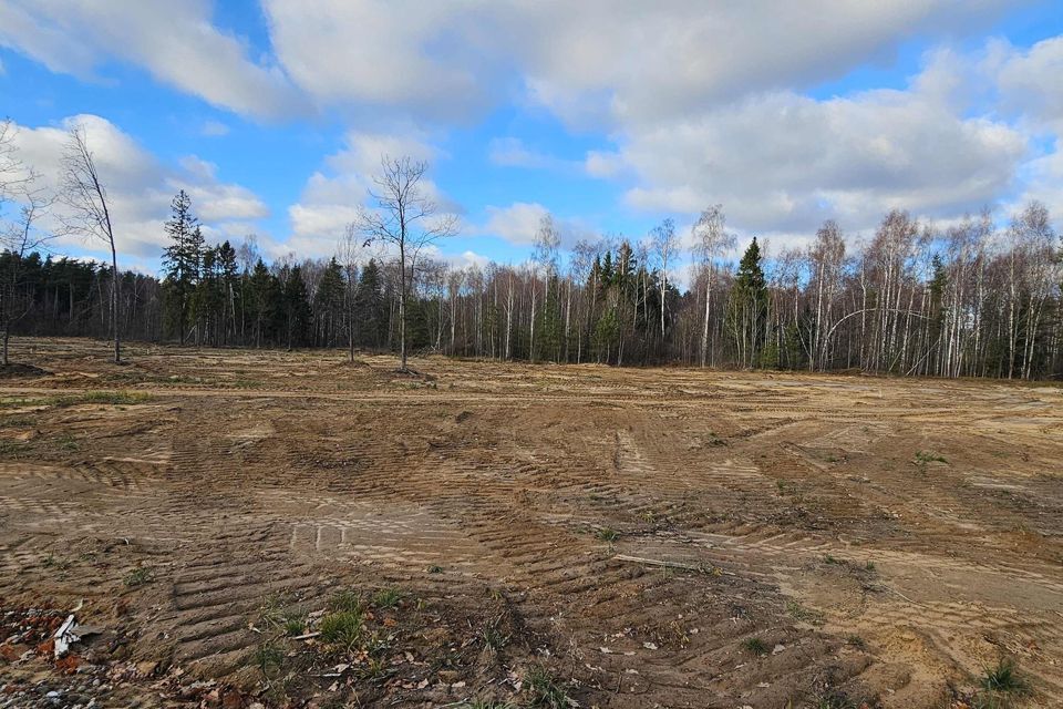 земля городской округ Богородский Восточная деревня, 212 фото 10