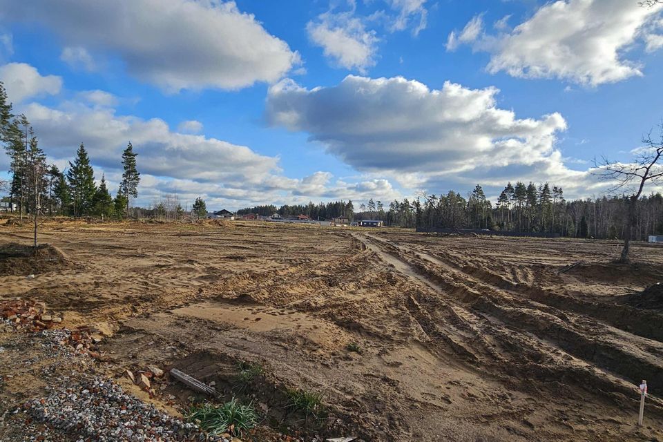 земля городской округ Богородский Восточная деревня, 212 фото 6