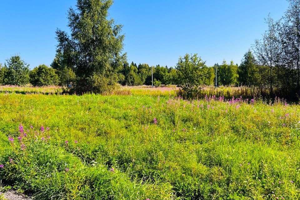 земля городской округ Истра Карцево фото 7