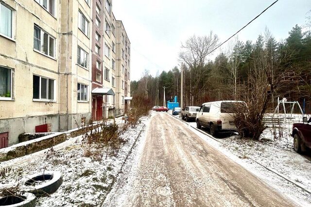 ул Школьная 10 Вырицкое городское поселение фото