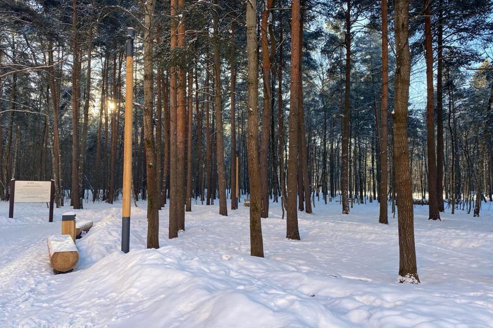 квартира городской округ Люберцы рп Октябрьский ул 60 лет Победы 10а фото 9