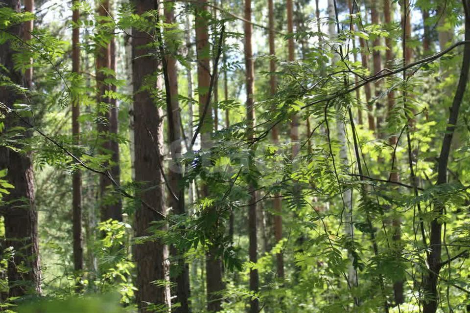 земля Полевской городской округ, село Курганово фото 1