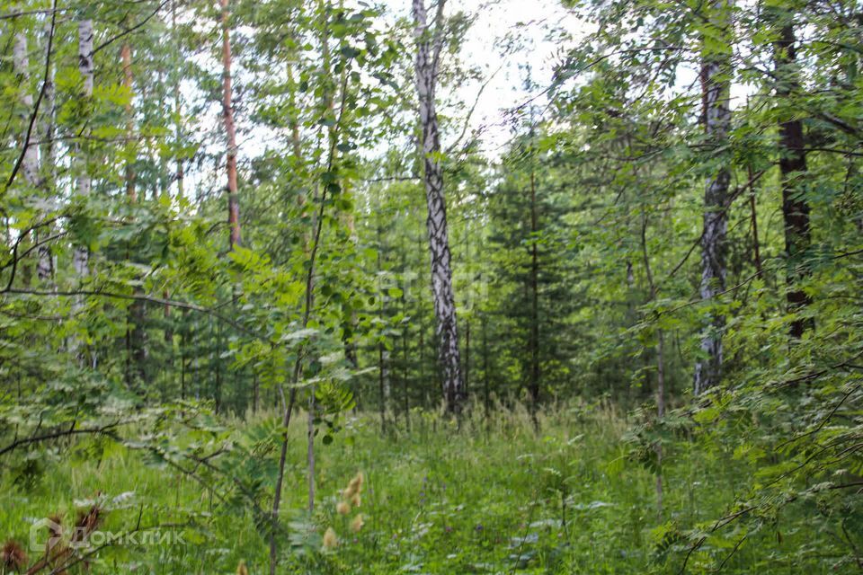 земля Полевской городской округ, село Курганово фото 4