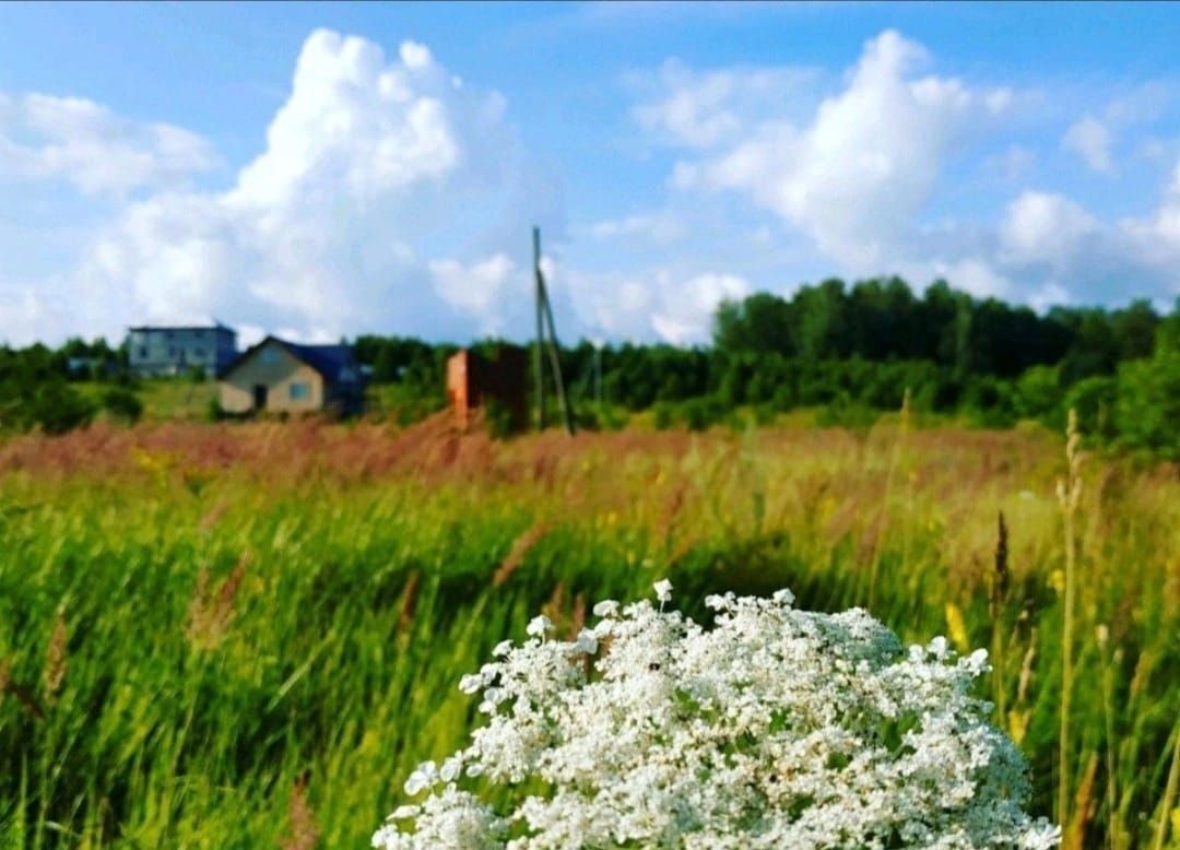 земля р-н Тарусский с Лопатино фото 1