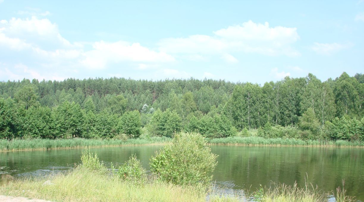 дом р-н Чкаловский с Чистое ул Ленина 14 Борское с пос, Бор городской округ фото 13