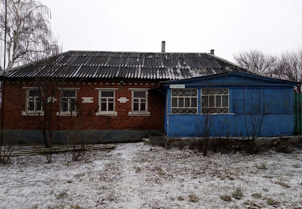 дом р-н Елецкий с Паниковец Воронецкий сельсовет, Елец фото 1