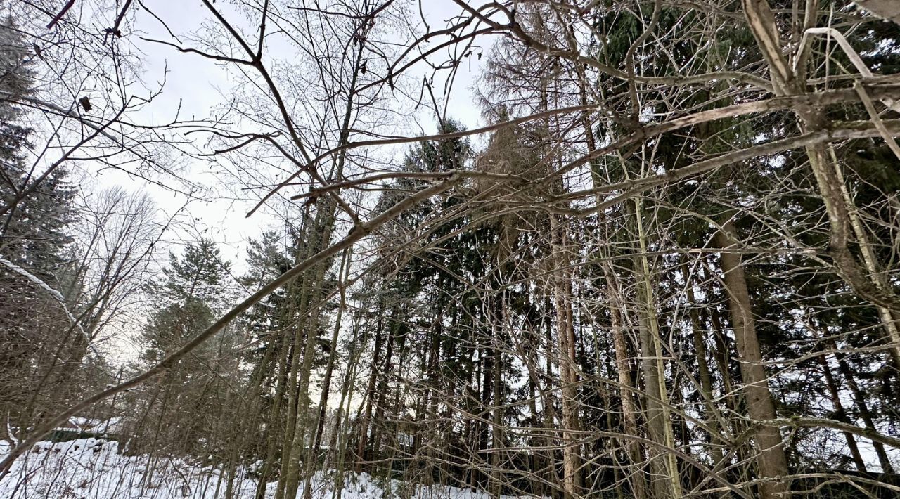 земля городской округ Одинцовский Экипаж кп, 33 фото 3