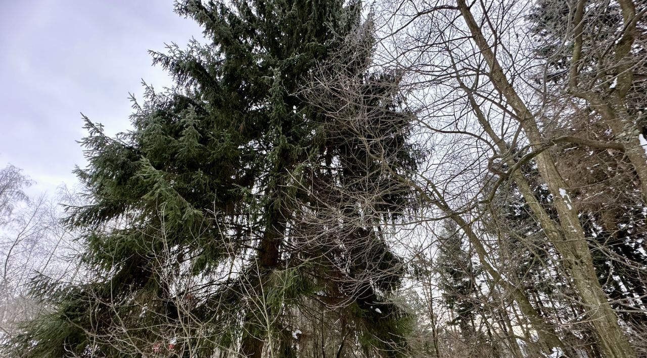 земля городской округ Одинцовский Экипаж кп, 33 фото 5