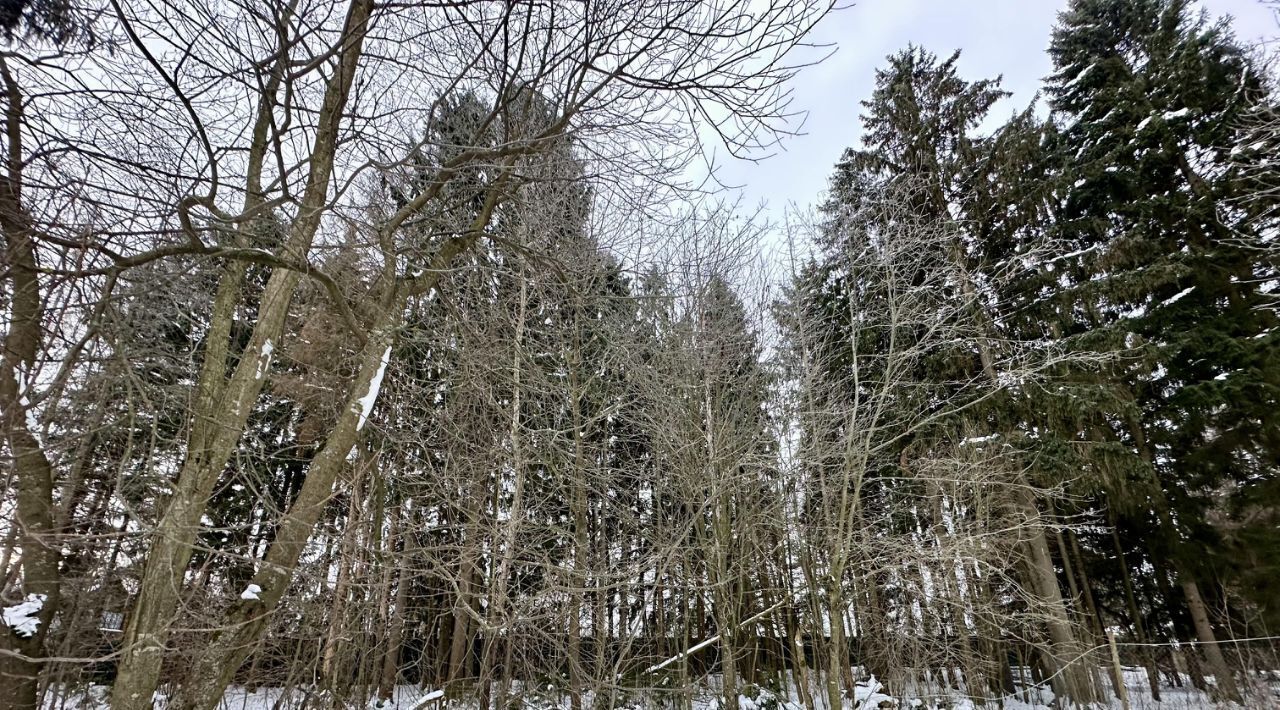 земля городской округ Одинцовский Экипаж кп, 33 фото 7