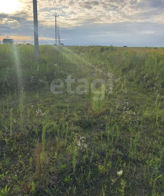 земля р-н Брянский с Октябрьское ул Нагорная фото 8