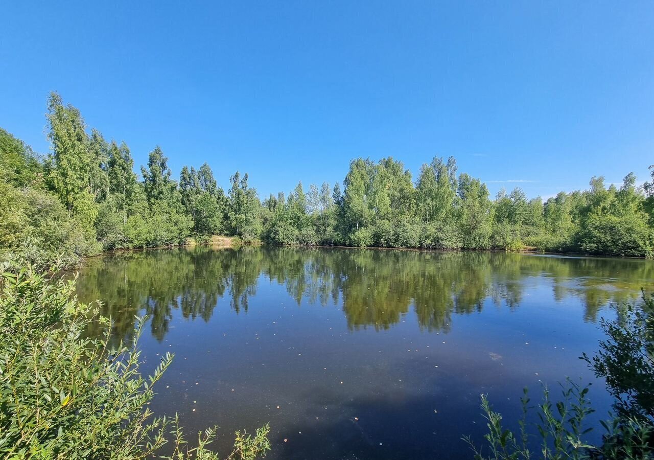 земля г Москва п Вороновское п ЛМС направление Курское (юг) ш Варшавское 45 км, г. о. Чехов, д. Ефимовка, Московская область фото 2