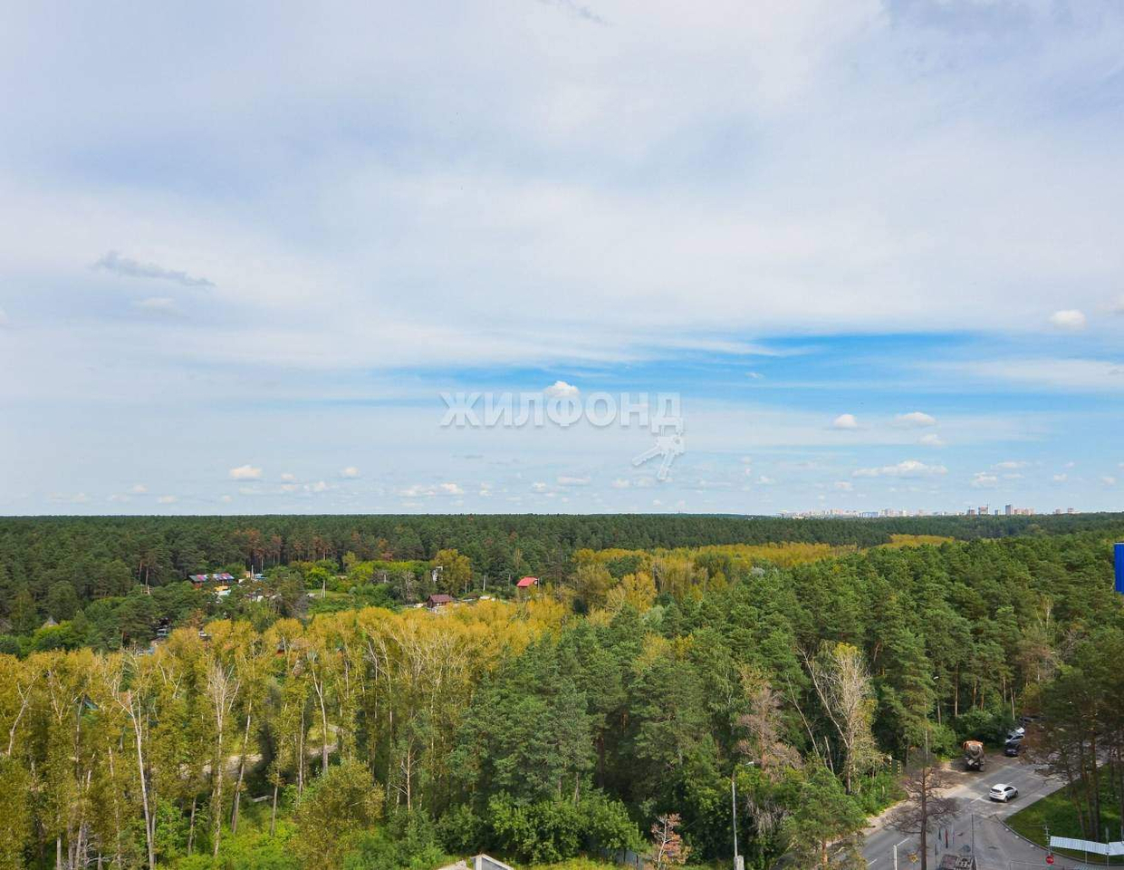 квартира г Новосибирск метро Площадь Гарина-Михайловского ул Сухарная 109 фото 25