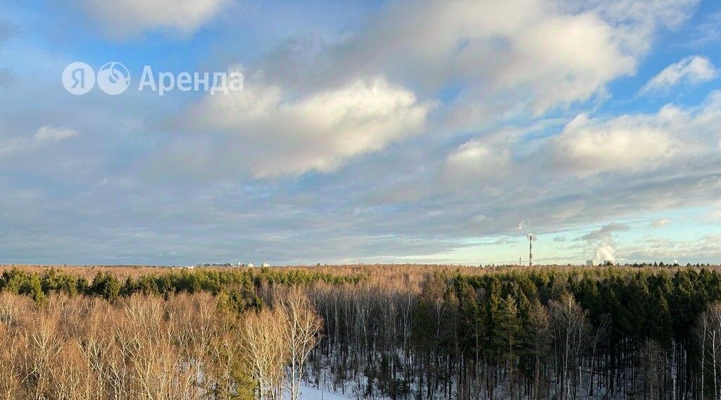 квартира городской округ Мытищи п Нагорное ул Полковника Романова 11 ЖК «Датский квартал» Медведково фото 13