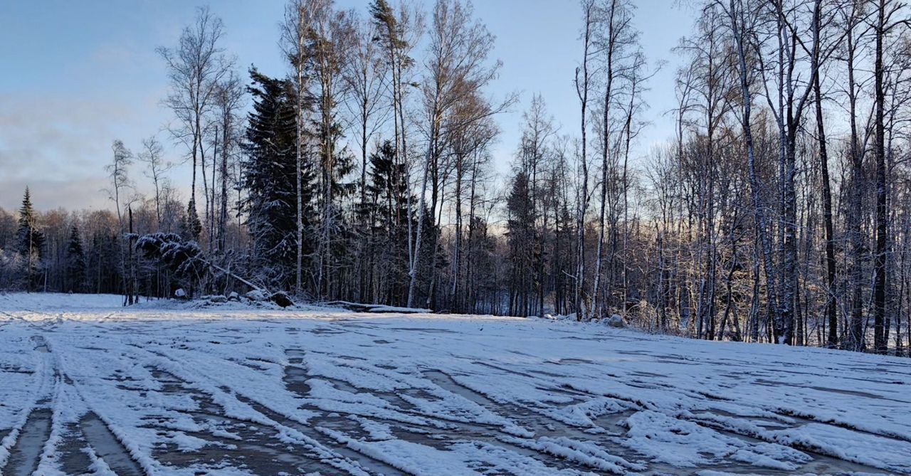 земля р-н Всеволожский 22 км, Всеволожский р-н, Токсовское городское поселение, СНТ Воякоярви, 4-я линия, Лесколово, Ленинградское шоссе фото 6