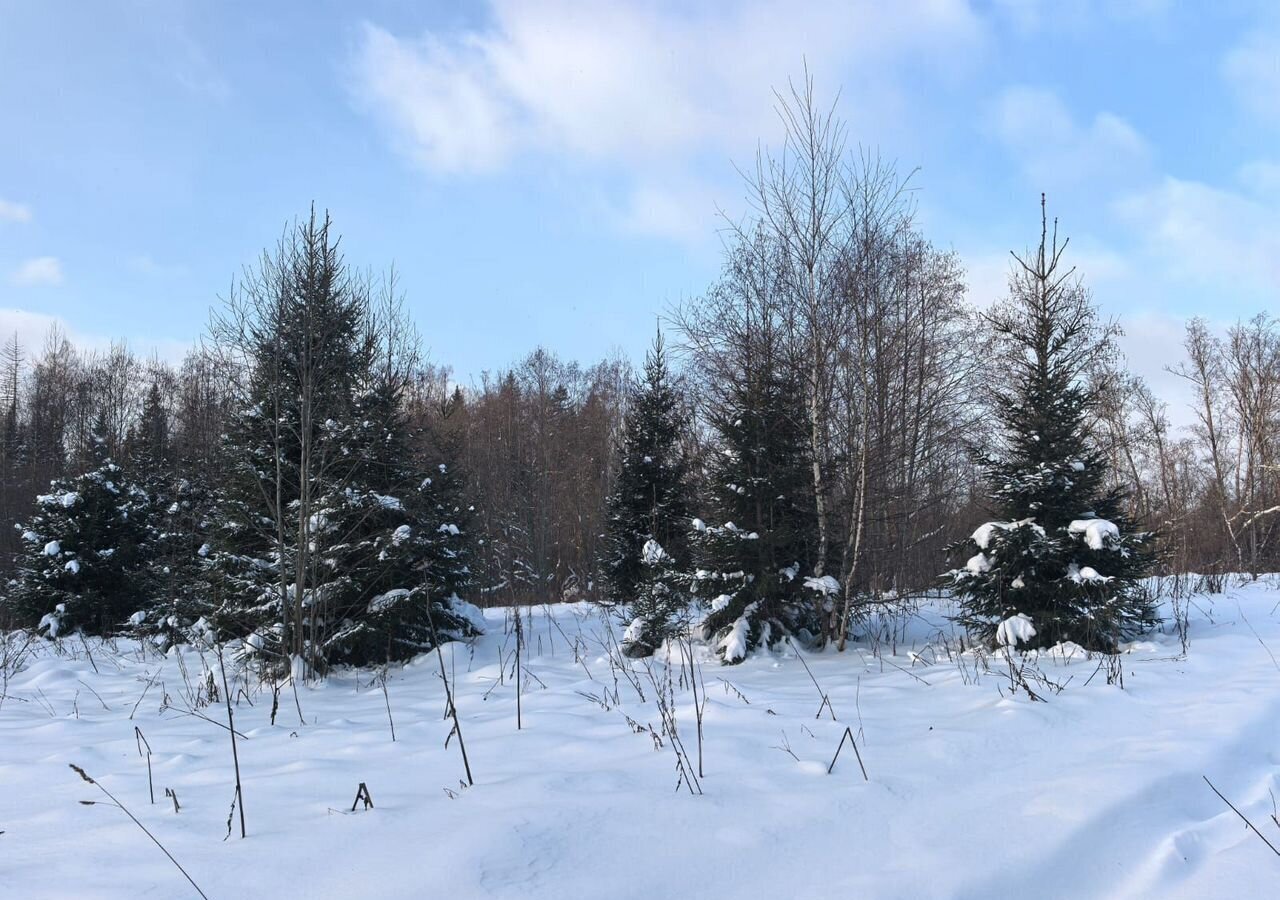 земля направление Рижское (северо-запад) ш Новорижское 37 км, 46Н-07155, Звенигород фото 2