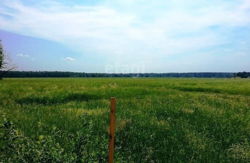 земля р-н Липецкий с Большая Кузьминка ул Лунная фото 1