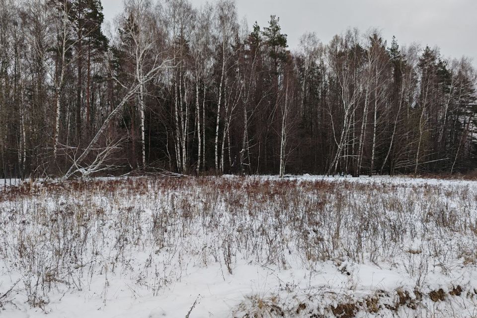 земля городской округ Раменский фото 1