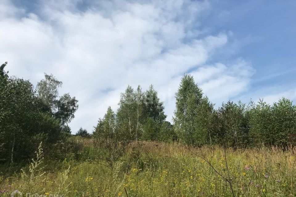 земля городской округ Серпухов д. Райсеменовское фото 1