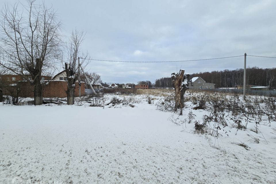 земля Коломна городской округ, с. Непецино фото 1