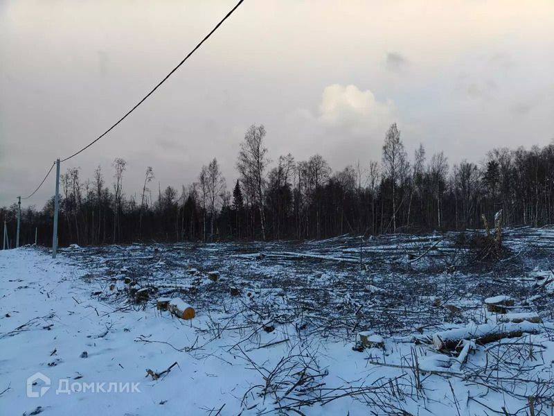 земля р-н Лужский д. Извоз фото 1