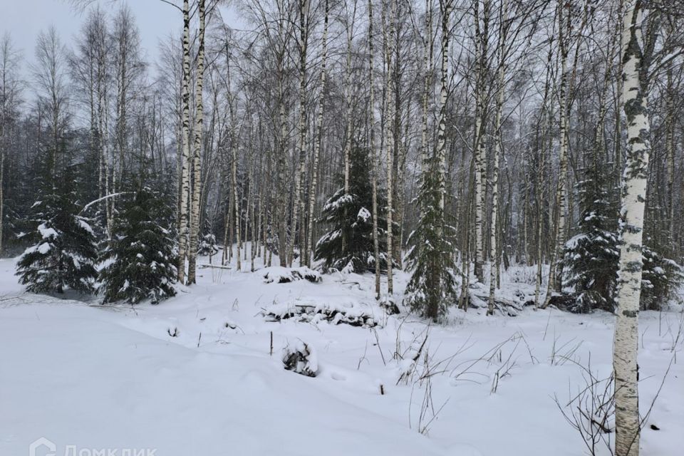 земля р-н Всеволожский массив Ойнелово, Лесная улица фото 3