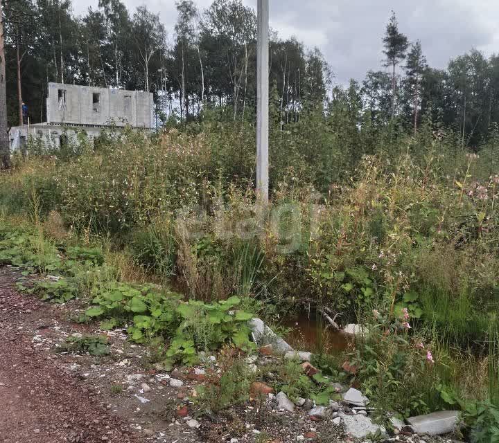 земля р-н Всеволожский м. Углово фото 2