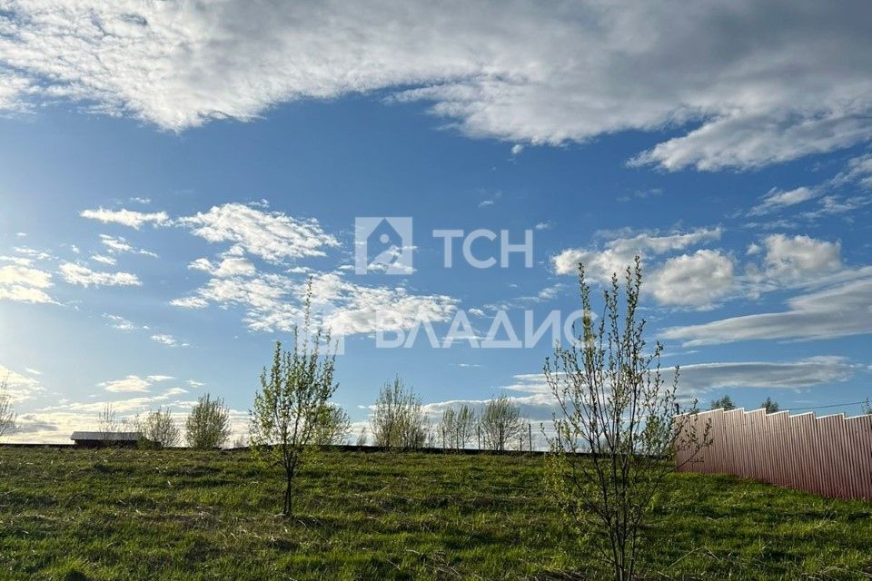 земля городской округ Мытищи д. Голенищево фото 4