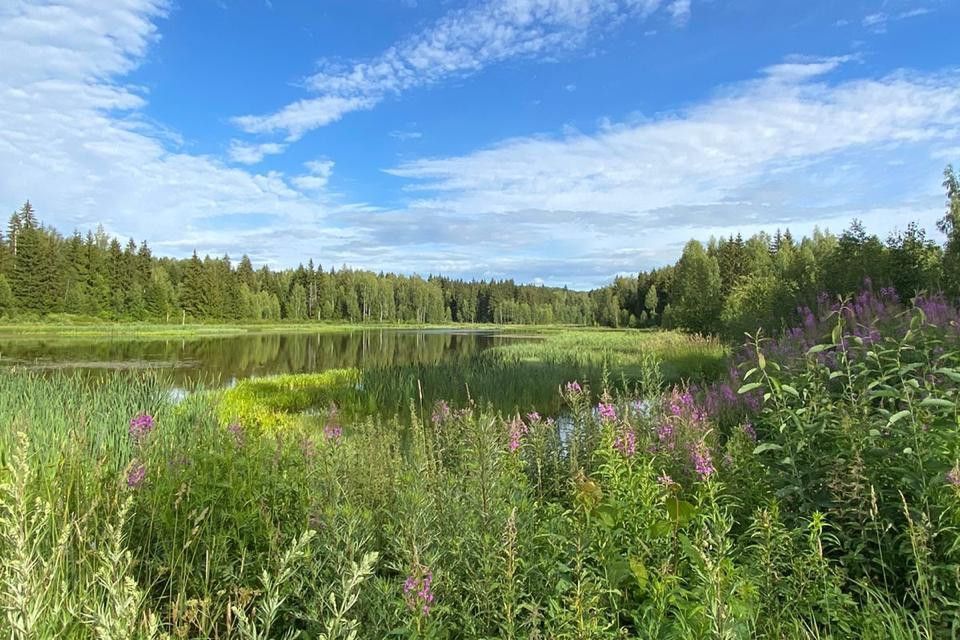 земля городской округ Можайский ДНП Лесное-2 фото 8