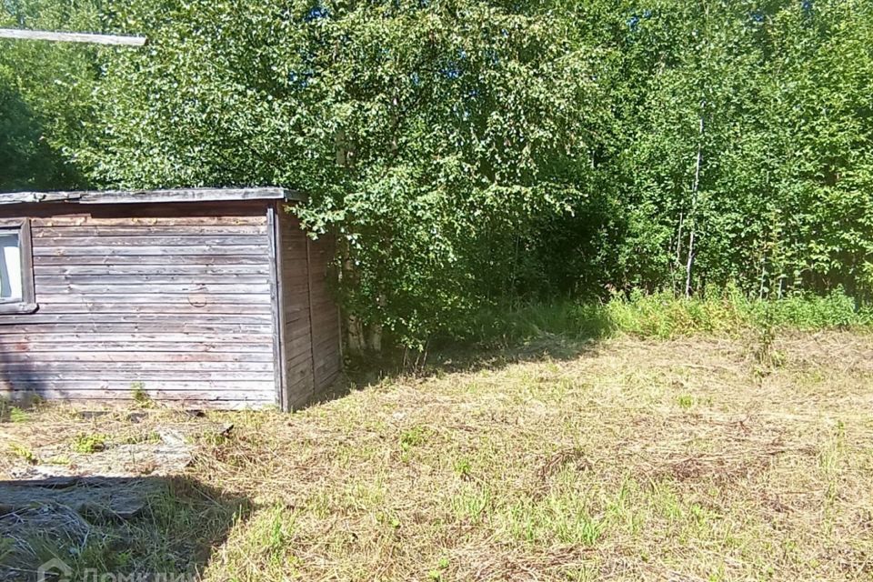 земля р-н Лодейнопольский городской посёлок Свирьстрой фото 10