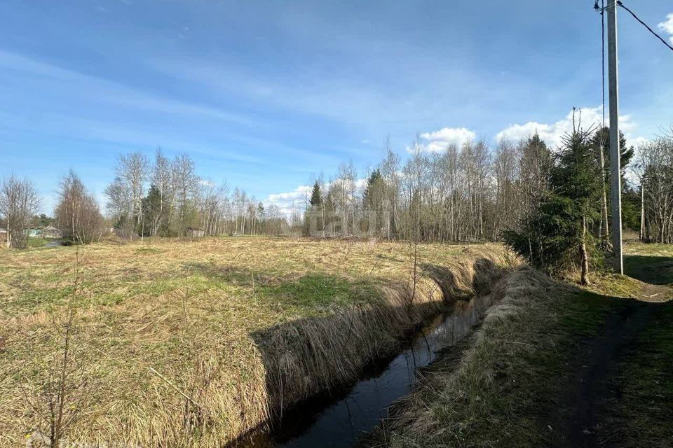 земля р-н Волховский п Селиваново ул Мира 1 фото 6