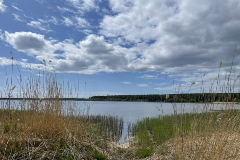 земля р-н Выборгский пос. Большой Бор фото 5